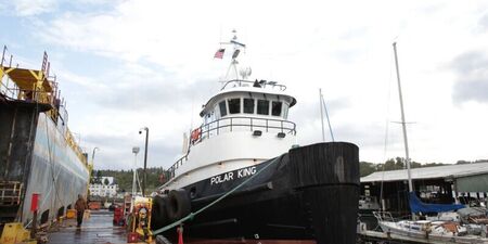 Centa polar king